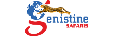 Genistine Safaris.png